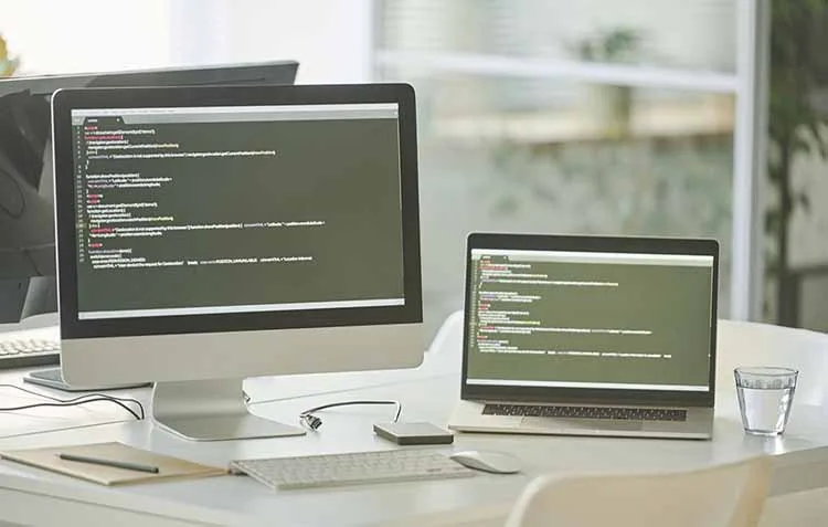 Custom Programmed Websites